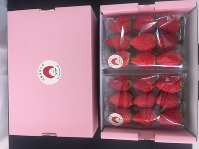 《2026年産先行予約》令和８年１月下旬配送分「西脇市産 旬のいちご2品種食べ比べセット」（1箱２パック）【佐藤果実工房 全国いちご選手権銀賞受賞農園 TVで紹介!】（07-44）