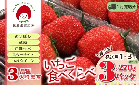 《2026年産先行予約》「西脇市産 旬のいちご3品種食べ比べセット」(1箱3パック)【佐藤果実工房 全国いちご選手権銀賞受賞農園 TVで紹介!】令和8年1月下旬配送分(09-38)