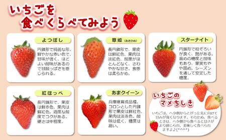 《2026年産先行予約》「西脇市産 旬のいちご４品種食べ比べセット」（約270g×４パック 約1,080g）【佐藤果実工房 全国いちご選手権銀賞受賞農園 TVで紹介!】令和８年２月下旬配送分（12-41）