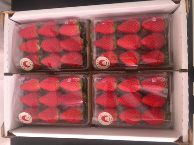 《2026年産先行予約》「西脇市産 旬のいちご４品種食べ比べセット」（約270g×４パック 約1,080g）【佐藤果実工房 全国いちご選手権銀賞受賞農園 TVで紹介!】令和８年３月下旬配送分（12-41）