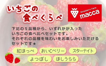 「ひょうご推奨ブランド」認証「西脇市産いちご食べくらべセット」（1箱2パック）令和８年１月上旬配送分～いちご畑macca～（06-39）