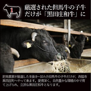 神戸ビーフ素牛・黒田庄和牛 焼肉切り落とし300g 