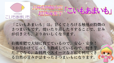 【訳あり】超熟成蜜芋 土付きふそろいさつまいも「こいもあまいも」3Sサイズ 合計８kg（05-61）　シルクスイート