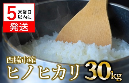 【ヒノヒカリ】令和7年産 白米30kg【5営業日以内に発送】