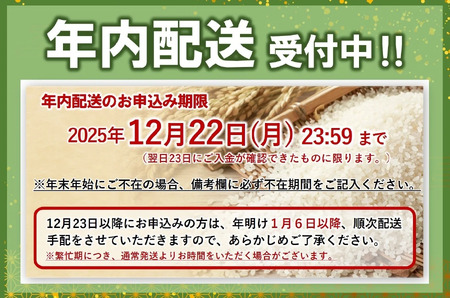 【きぬむすめ】令和7年産 白米20kg【5営業日以内に発送】