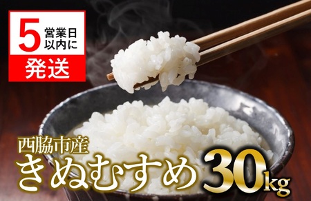 【きぬむすめ】令和７年産 白米30kg【5営業日以内発送】