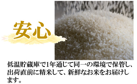 新米 コシヒカリ 5kg 白米【10営業日以内発送】令和７年産 14.5-1