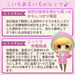【訳あり】農家が作った超熟成蜜芋「こいもあまいも」の冷凍焼きいも 合計1.5kg（06-49）