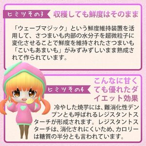 【訳あり】農家が作った超熟成蜜芋「こいもあまいも」の冷凍焼きいも 合計1.5kg（06-49）