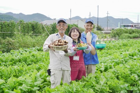 【旬のお野菜＆お米２ｋｇ詰め合わせセットＢ】農産物直売所「北はりま旬菜館」からお届け！(10-20)