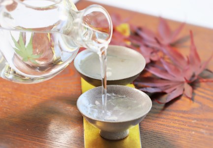 【人気の美酒】 豊盃 こぎん刺し模様(山田錦) 純米大吟醸 1,800ml(27-1)