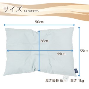 アース製薬と共同開発！防ダニ枕【Dani Not】パイプ　35×50㎝　～防ダニ率90％以上～(11-18)