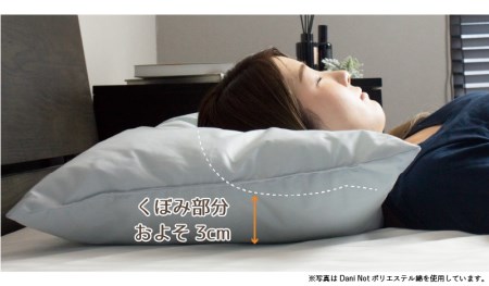 アース製薬と共同開発！防ダニ枕【Dani Not】パイプ　35×50㎝　～防ダニ率90％以上～(11-18)