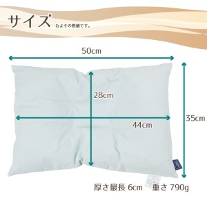 アース製薬と共同開発！防ダニ枕【Dani Not】そば殻　35×50㎝　～防ダニ率90％以上～(11-18)