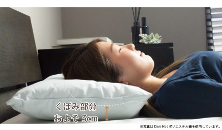 アース製薬と共同開発！防ダニ枕【Dani Not】そば殻　35×50㎝　～防ダニ率90％以上～(11-18)