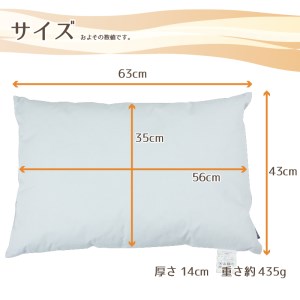 15-27　アース製薬と共同開発！防ダニ枕【Dani Not】ポリエステルわた　43×63㎝