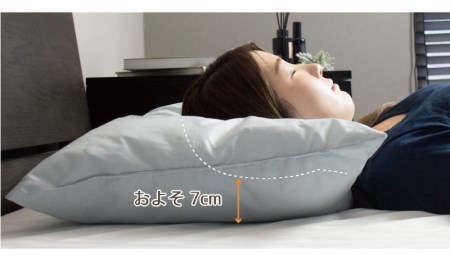 15-27　アース製薬と共同開発！防ダニ枕【Dani Not】ポリエステルわた　43×63㎝