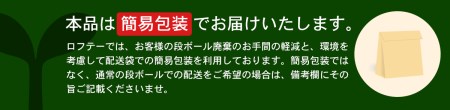 （エアウィーヴ グループ）ロフテー「ボディーピローわがまま（専用カバー付）」ピンク～抱き枕のパイオニア～（74-14）