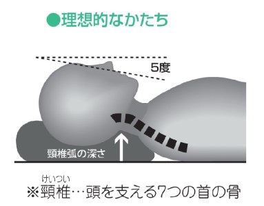 （エアウィーヴ グループ）ロフテー「快眠枕　エラスティックパイプ」サイズ４号（96-5）