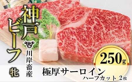 【神戸牛 牝】極厚サーロイン ハーフ2枚約250g