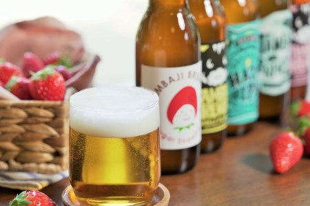 【クラフトビール】西脇市産いちごのフルーツエール「シュガーストロベリー」5本セット／11-37