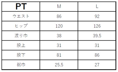 PAINTER PANTS（66-13）　Lサイズ