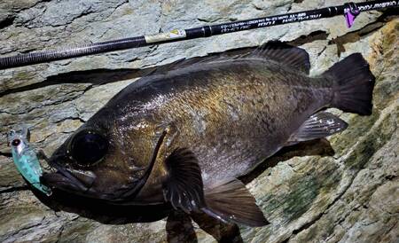 10-49 BREADEN メバルルアー「13-NUT」セット(3個)