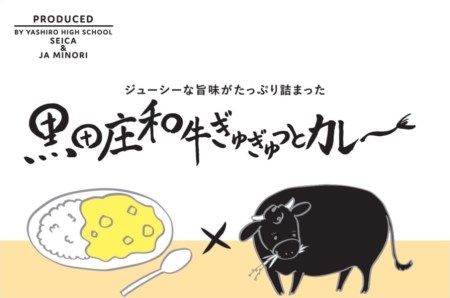 《ビーフカレー&ミートソース各2食》黒田庄和牛ぎゅぎゅっとセット (06-43)