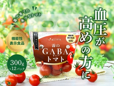 ストレス社会にぴったり！機能性表示食品 霧のGABAトマト 300ｇ×12パック（20-52）