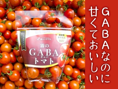 ストレス社会にぴったり！機能性表示食品 霧のGABAトマト 300ｇ×12パック（20-52）