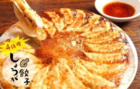 【さっぱり!しょうが4倍増し!】ごはんや凸のしょうが餃子40個(10個×4パック)〔08-32〕
