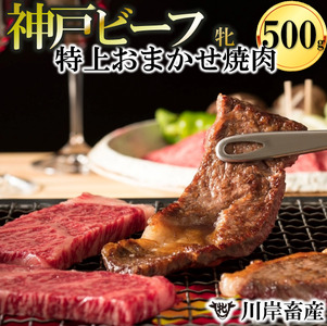 【神戸牛 牝】特上 焼肉おまかせセット:500g 川岸畜産 (25-10)【冷蔵】