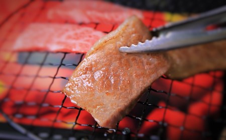 【神戸牛 牝】特上 焼肉おまかせセット:500g 川岸畜産 (25-10)【冷蔵】