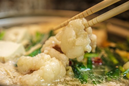 【国産黒毛和牛】特選ホルモン520g 260g×2パック 小分け (07-26)