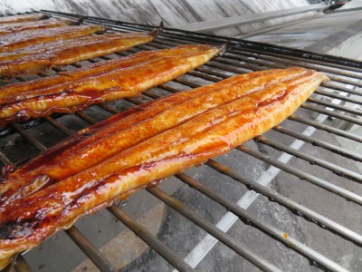 【愛知県三河一色産】活うなぎの蒲焼き 1尾(約150g)(11-53)