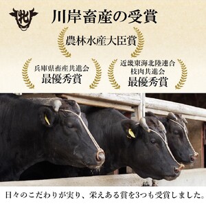 【神戸牛 牝】小間切れ:730g 川岸畜産 (15-4)【冷凍】