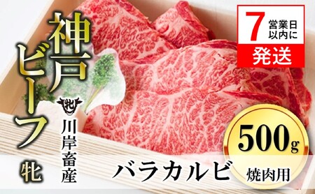 神戸牛 牝】バラカルビ焼肉:500g 川岸畜産 (17-1)【冷凍】 | 兵庫県