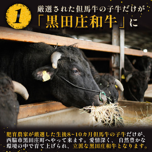 【神戸牛】しゃぶしゃぶ用肩ロース:500g【最短7営業日発送】黒田庄和牛 (20-3)【冷蔵】