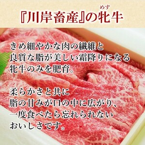 【神戸牛 牝】牛すじ肉:500g 川岸畜産 (08-39)【冷凍】