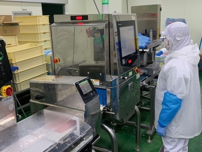 【瞬間冷凍で鮮度キープ】天然メバチマグロ 希少部位 ハラモ 切り落とし（腹身） 約1kg （500g×2P） まぐろ 鮪（16-10）