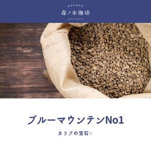 【ギフトBOX】自家焙煎★煎りたて至高のブルーマウンテンNo1 ギフト(豆のまま・200g)《森ノ本珈琲》(15-55-1)