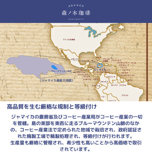 【ギフトBOX】自家焙煎★煎りたて至高のブルーマウンテンNo1 ギフト(豆のまま・200g)《森ノ本珈琲》(15-55-1)