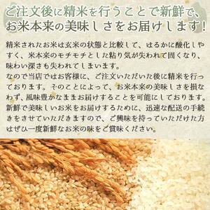 【ヒノヒカリ】令和6年産 新米 白米10kg