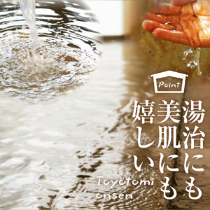 豊富温泉 ふれあいセンター 入浴券 こども用 16回分