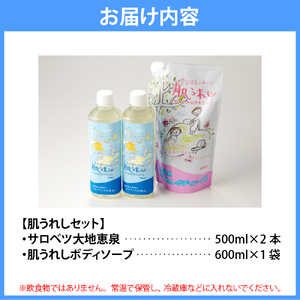 豊富温泉 濃縮温泉水サロベツ大地恵泉 (500ml×2本) ＆ ボディーソープ (600ml×1個) セット