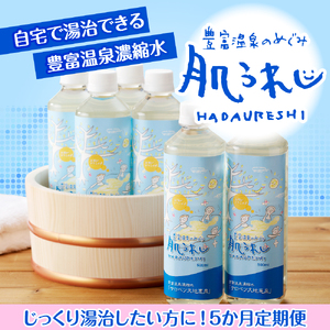 【定期便 5か月連続】 豊富温泉 濃縮温泉水 サロベツ大地恵泉 (1回500ml×6本)　（豊富温泉 濃縮温泉水 濃縮 温泉水 化粧水 スキンケア 入浴剤 温泉成分 セット サロベツ とよとみ 常温 定期便 北海道 豊富町）