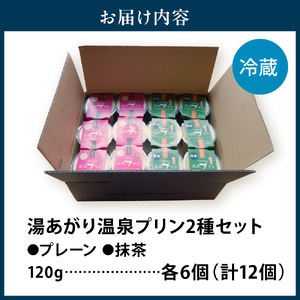 湯あがり温泉プリン 2種類 各120g×6個 計12個　【川島旅館】