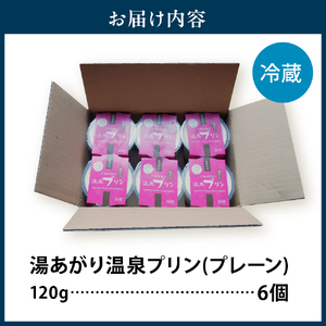 湯あがり温泉プリン プレーン 120g×6個　【川島旅館】
