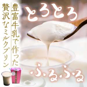 湯あがり温泉プリン 6種類 各120g×1個 計6個　【川島旅館】