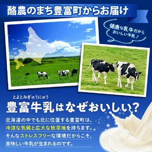 とよとみ牛乳 北海道アイスクリーム バニラ チョコレート 各110ml×6個 計12個　（とよとみ牛乳 アイス あいす アイスクリーム カップアイス 詰め合わせ デザート カップデザート クリスマス 贈り物 ギフト 北海道 豊富町）